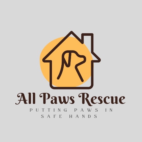 All Paws Rescue
